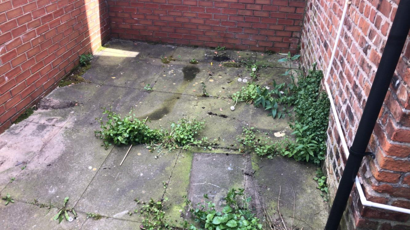 Outdoor Cleaning