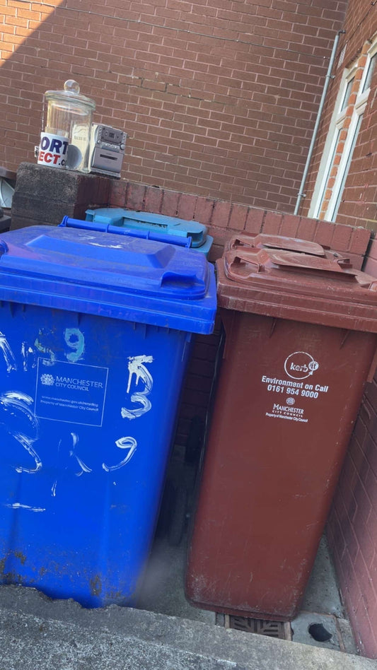 🗑️ Bin Cleaning 🗑️